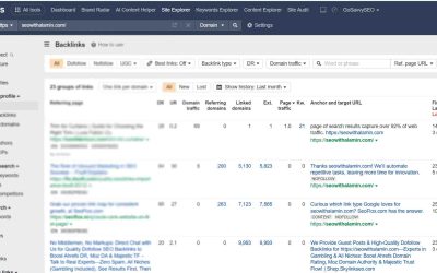 How to Check Backlink in Google: A Complete Guide